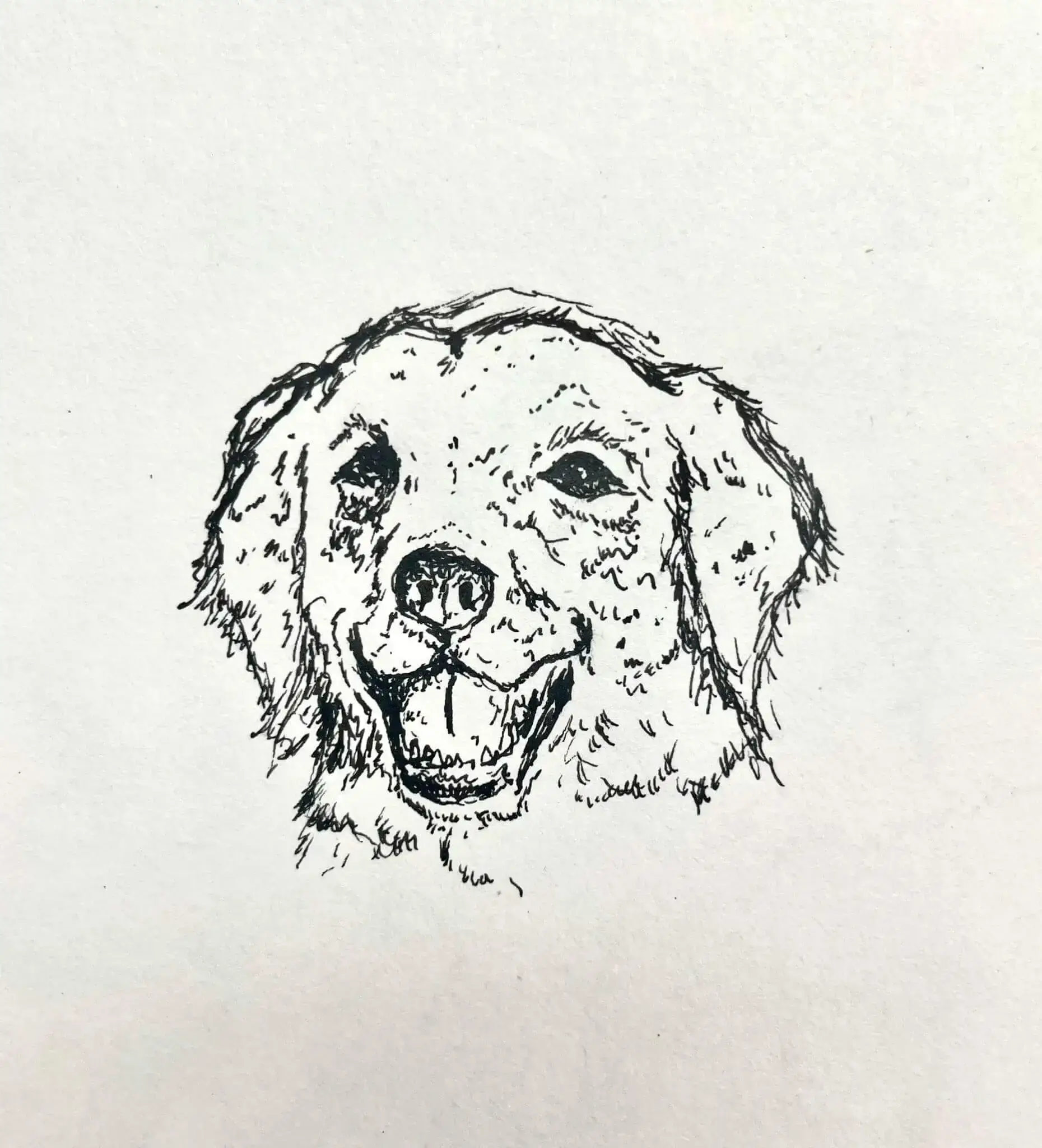 A dog illustration