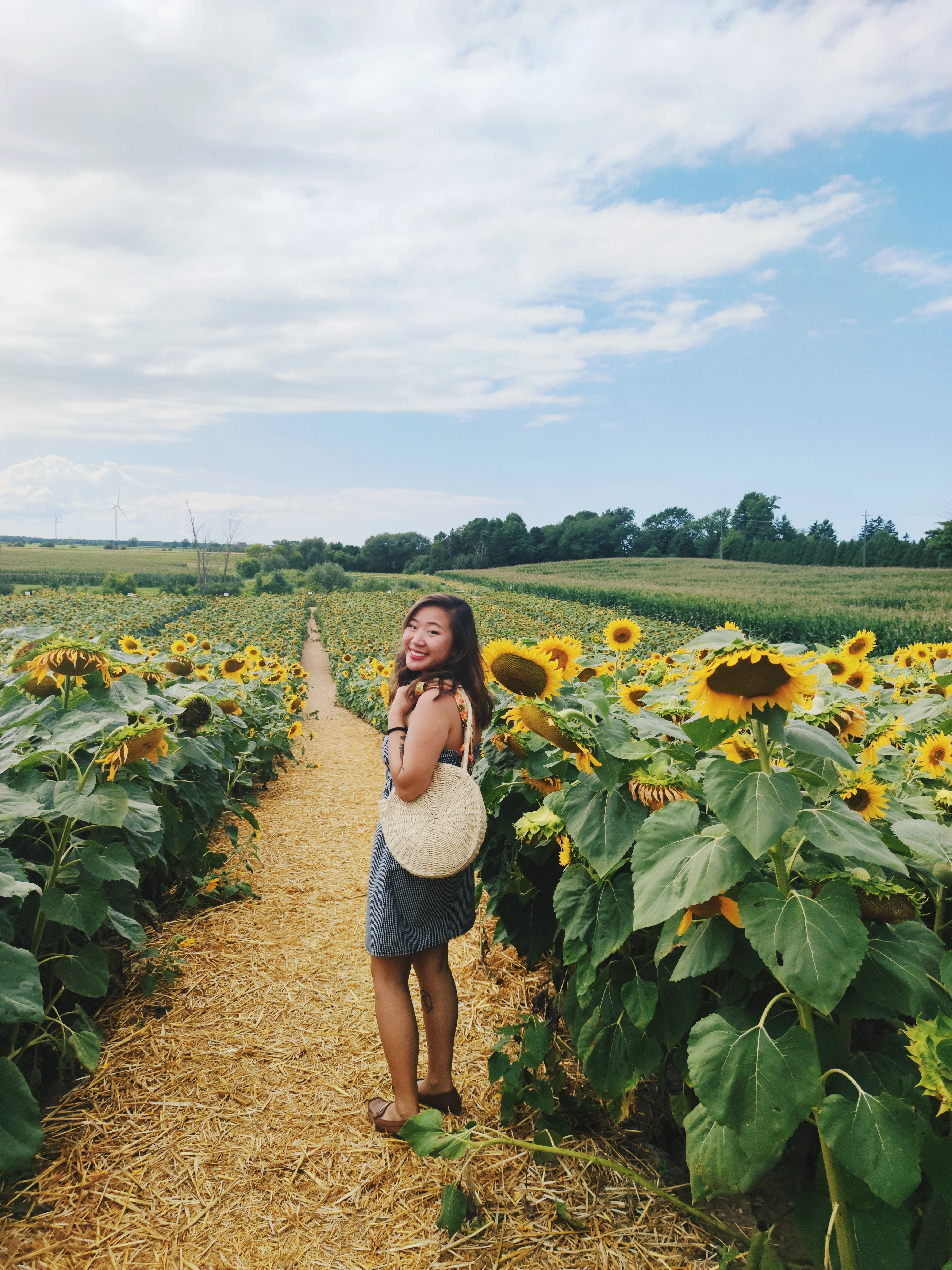 Me in sunflower field